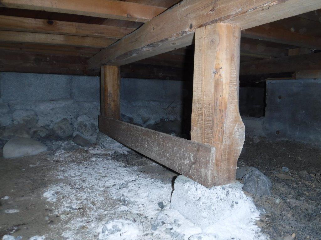 床下や外周に侵入や被害がないか調査いたします